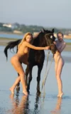 EB_VELLA_B__KESEDY_A_STALLION_10.webp