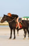 ST18_EUPHROSYNE_E_EUPHOROSYNE_-_A_HORSE_RIDE_13.webp