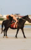 ST18_EUPHROSYNE_E_EUPHOROSYNE_-_A_HORSE_RIDE_18.webp