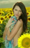 ST18_IZOLDA_M_IZOLDA_-_FIELD_OF_SUNFLOWERS_7.webp