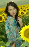 ST18_IZOLDA_M_IZOLDA_-_FIELD_OF_SUNFLOWERS_8.webp