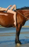 ST18_LARISSA_H_LARISSA_-_RIDING_BY_THE_BEACH_11.webp