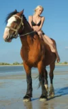 ST18_LARISSA_H_LARISSA_-_RIDING_BY_THE_BEACH_6.webp