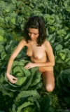 ST18_ROZA_A_ROZA_-_CABBAGE_FIELD_5.webp