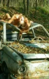 ST18_TEKLA_D_TEKLA_-_I_FOUND_AN_ABANDONED_CAR_15.webp