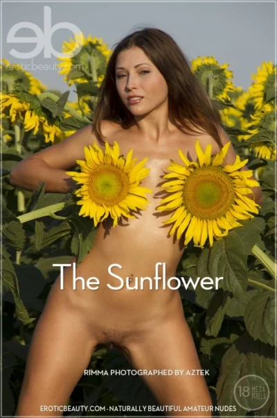 RIMMA A – THE SUNFLOWER – by AZTEK (64) EB