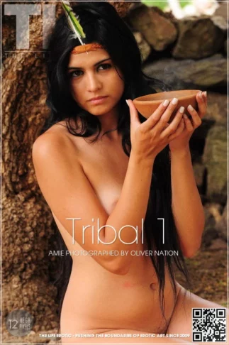 AMIE – TRIBAL 1 – by OLIVER NATION (86) TLE