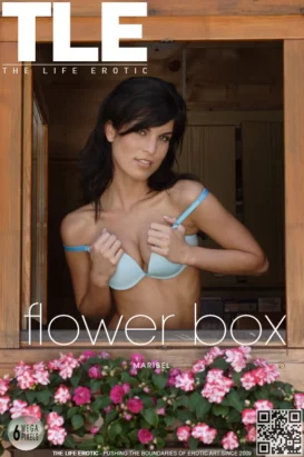 MARIBEL – FLOWER BOX – by JORDAN DEXTER (51) TLE