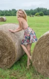 EB_BERNIE_PLAYING_IN_THE_HAY_16.webp