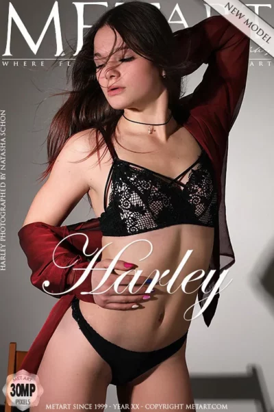 HARLEY – PRESENTING HARLEY – by NATASHA SCHON (123) MA