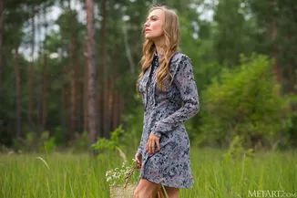 Preview 11