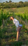 MA_AMY_MOLOKO_VINEYARD_VIEW_5.webp