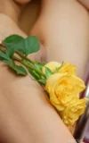 MA_BREANN_YELLOW_ROSE_13.webp