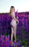 MA_DAKOTA_PINK_LAVENDER_FIELDS_14.webp