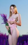 MA_DAKOTA_PINK_LAVENDER_FIELDS_16.webp