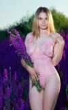 MA_DAKOTA_PINK_LAVENDER_FIELDS_18.webp