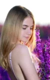 MA_DAKOTA_PINK_LAVENDER_FIELDS_19.webp