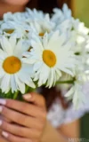 MA_ELENA_MAX_WILD_DAISIES_12.webp