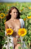 MA_MELANIA_SUNFLOWERS_2.webp