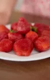 MA_YENN_CAT_LUSCIOUS_STRAWBERRY_5.webp