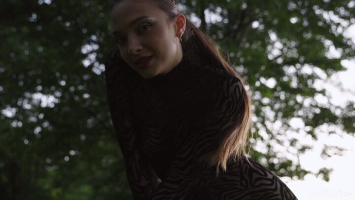 Preview 3