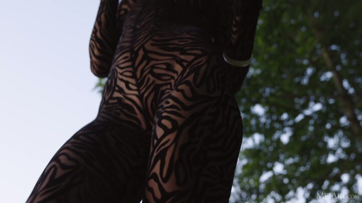Preview 4