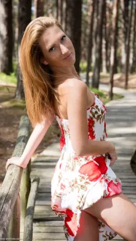 Preview 12