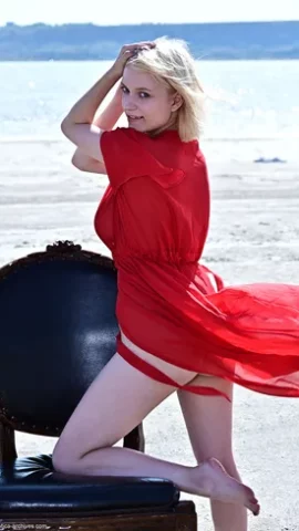Preview 4