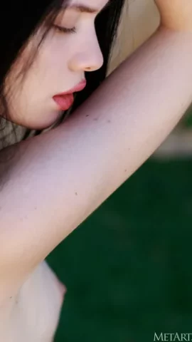 Preview 7