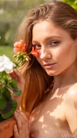 Preview 19