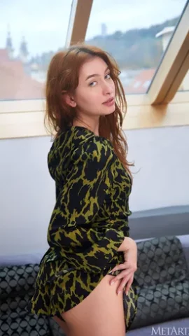 Preview 11