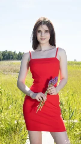 Preview 5
