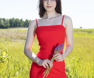 Preview 5