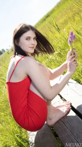 Preview 8