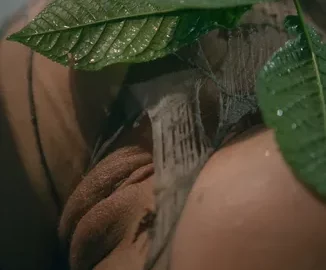 Preview 17