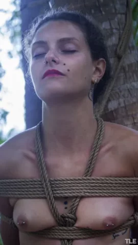 Preview 11