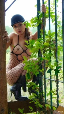Preview 4