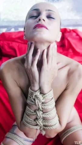 Preview 18