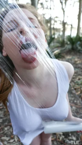 Preview 12