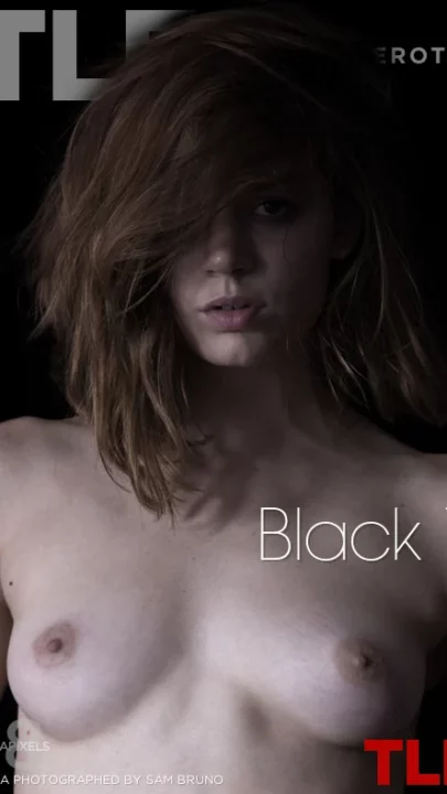 NOMA – BLACK 1 – by SAM BRUNO (80) TLE