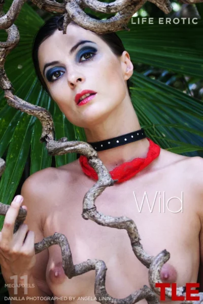 DANILLA – WILD – by ANGELA LININ (80) TLE