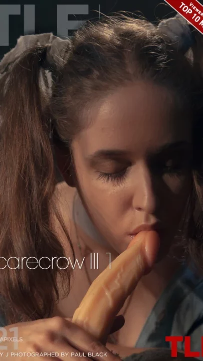 EMILY J – SCARECROW III 1 – by PAUL BLACK (100) TLE
