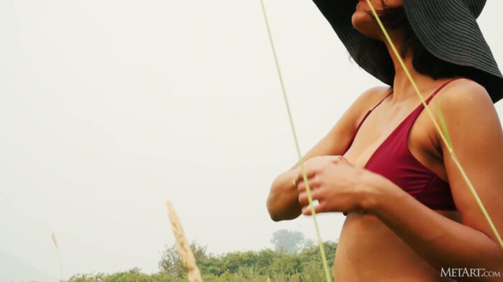 Preview 4