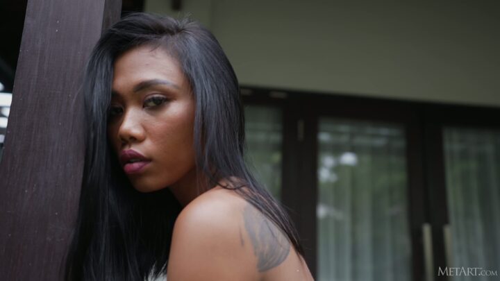 Preview 5