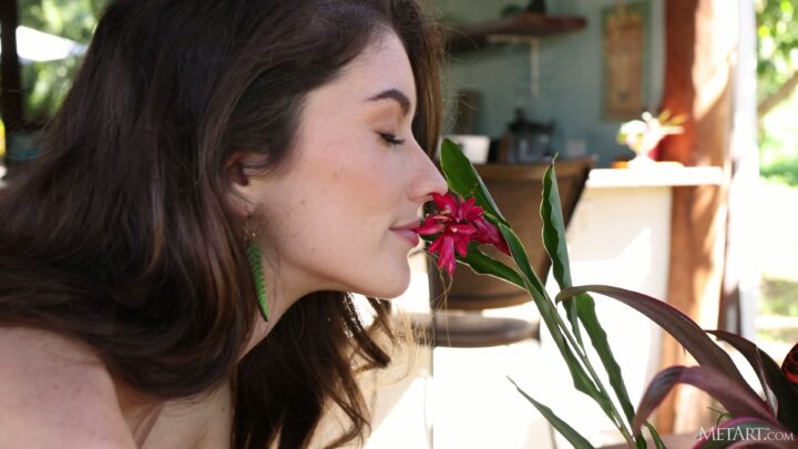 Preview 4