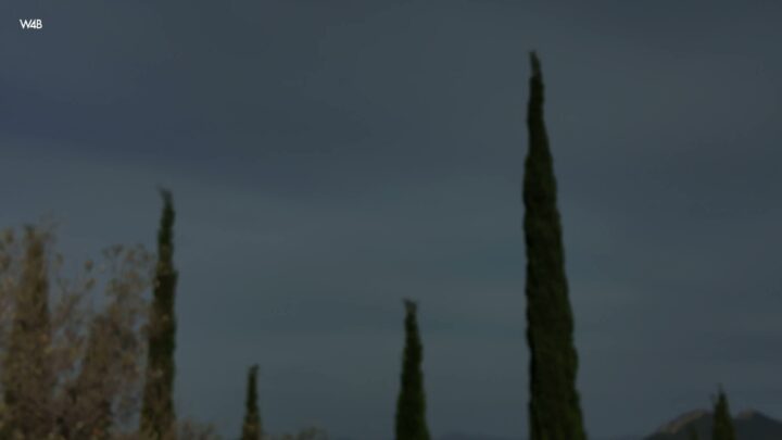 Preview 13