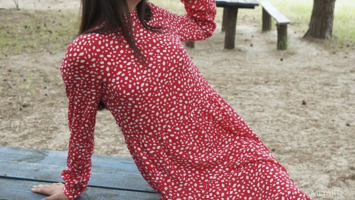 Preview 4
