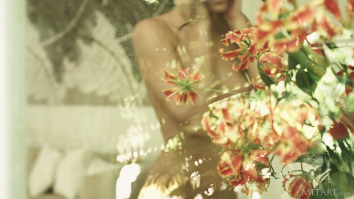 Preview 12