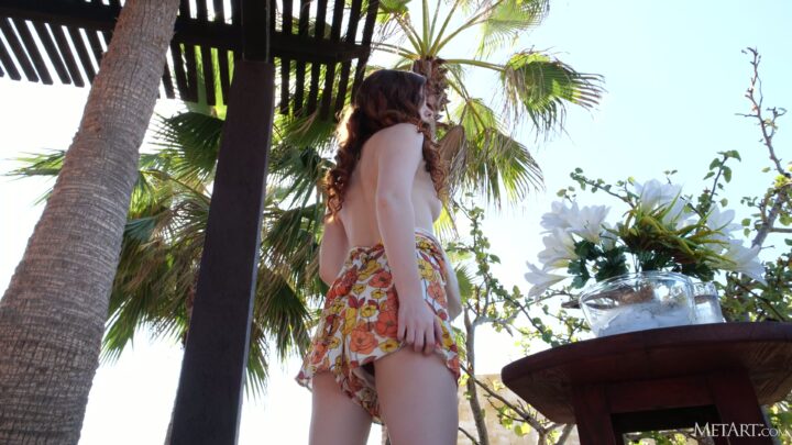 Preview 4