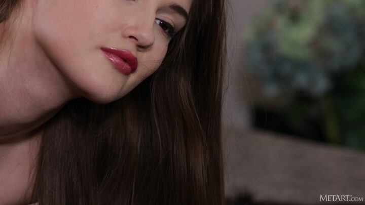 Preview 8